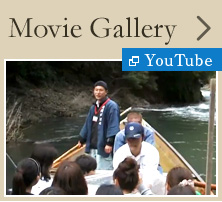 Movie Gallery