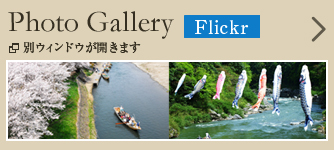Photo Gallery Flickr