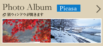Photo Album Picasa
