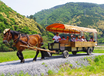 https://www.hozugawakudari.jp/wp-content/themes/hozugawa/images/rafting/img_course01.jpg