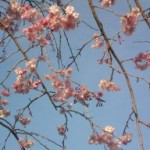 20100404170737.jpg