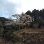 20100406145549.jpg