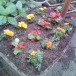20100522171633.jpg