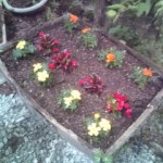 20100522171646.jpg