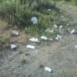 20100912073455.jpg