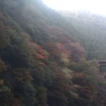 20101112155035.jpg