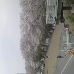 2011041610490000.jpg