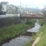 20110724065839.jpg