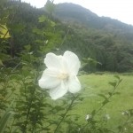 20110827164840.jpg