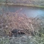 20120113153900.jpg