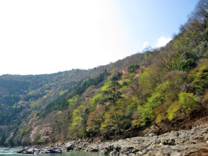20140403_0033_001
