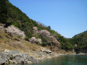 20140411_0049_001