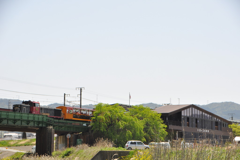 桜と新緑、こいのぼり、トロッコ 029