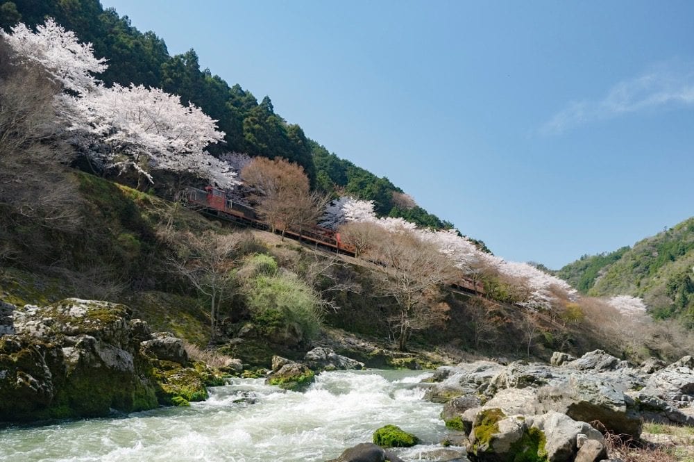 渓谷・川の風景写真